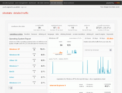 detailed stats title in sitestats - you can drill down into stats to really understand your visitors